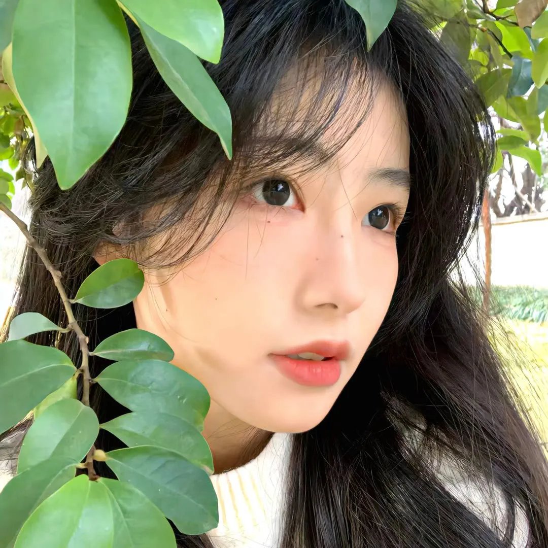 自由鸟